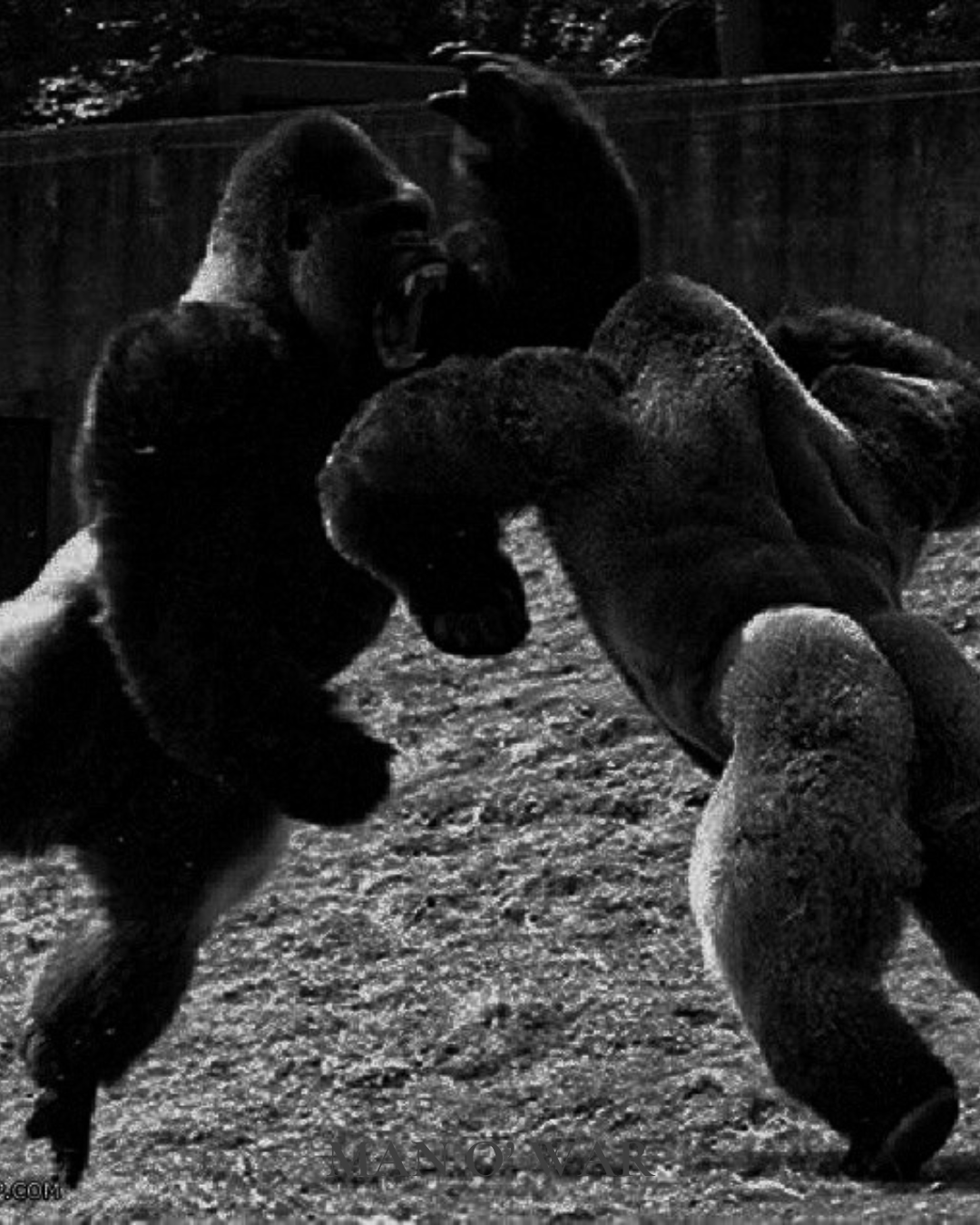 The Art of Domination